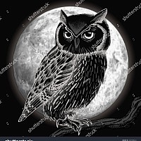 ✓ ' S ETHIX W '✓