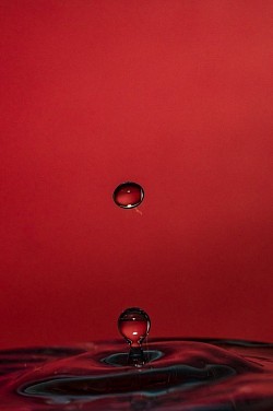 ★ DD : Disclaimerized Depiction ; 🍁 The picture had came through dark with a ruby tinge. 🦆 Glory  :  Am I Pulse Polio ? Gloria (🎥) ★   I Drop's   < '@cid ' on the 
