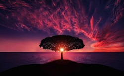 ★ DD : Disclaimerized Depiction ; ★    Did I ALIVE alone STANDing near riverside at SunSeT ?  ;  Inub- consciousness that takes citricness during born , LaTeX after born , leaves in flowering adolescent , fruits in development & demolishment , ' moonIASInment ' afterlife……..  Guess ……Tree-$on….   MOGLI / TARG(z)EN.  [ MOONIASINMENT (Figure of Speech ) word is used for High Tides & Low Tides ]