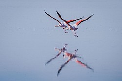 ★ DD : Disclaimerized Depiction ; ★   WHAT A RHYMING OR TUNING , Great ! ◆ To whom we beneath & what is benezth us or is it like the singularity of particle by / over in mixed fraction [as 2 ineger 2 by / over 4]. 🧙‍♀️ Felthem on Luke :- when he is atom'd into flying dust, he had prepared his substitutes.