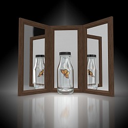 ★ DD : Disclaimerized Depiction ; * Shadows of shadow of doubt .  Collapsing  reality / flip-flopping reality