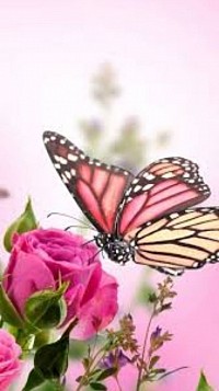 ★ DD : Disclaimerized Depiction ; ★   🌹❤️ Eye of Roses ❤️🌹 🍓🍓 Holding the chie 💔 ♪♪ F.ro.zen - Confetti of ICICLE or PYROCLASTIC ≈ 🦋🐝🐠🐬🦏🐲🐉 Ladies. 🍁  Bertrand's paradox: Different common-sense definitions of randomness give quite different results. 🍁 Birthday paradox: In a random group of only 23 people, there is a better than 50/50 chance two of them have the same birthday. 🍁 Willpower paradox: Those who keep their minds open are more goal-directed and more motivated than those who declare their objectives to themselves..