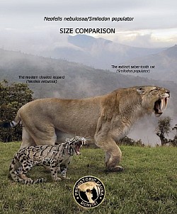 Sabre-toothed Cat