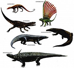🦎 Reptiles 🦎 Dinosaurs