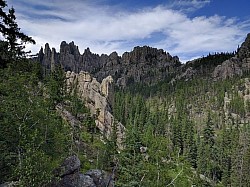 Natural Scenery of Black Hills. Let the nature takes it's course.